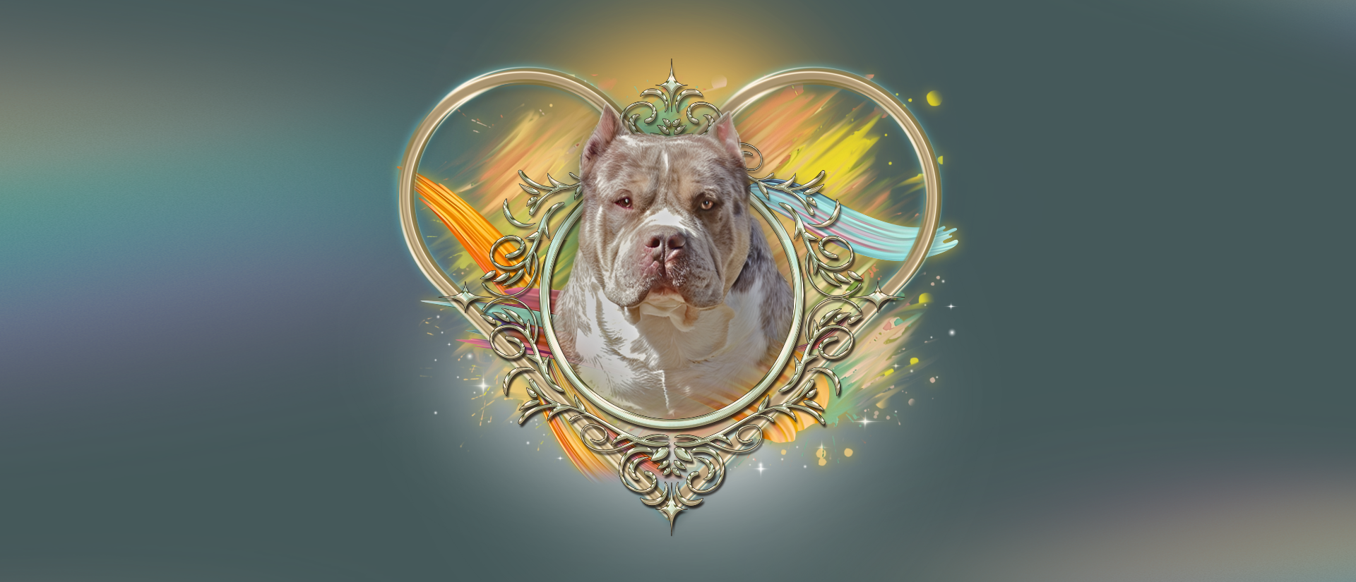 Standard, XL, XXL and Extreme American Bullies for sale near me and you from Crump’s Bullies
